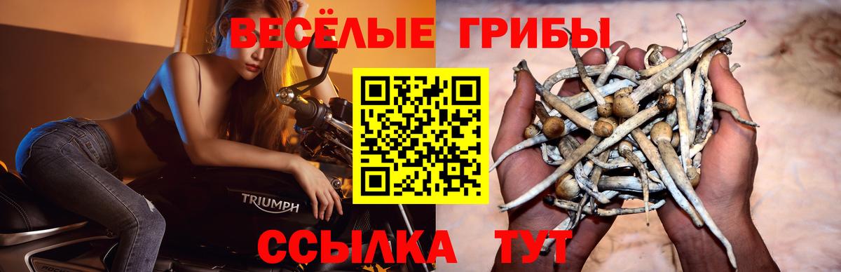 Галлюциногенные грибы ЛСД  Вход с VPN  Ступино  Псилоцибиновые грибы Magic Shrooms 